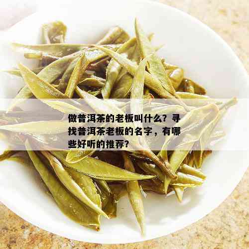 做普洱茶的老板叫什么？寻找普洱茶老板的名字，有哪些好听的推荐？