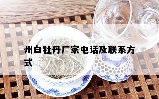 州白牡丹厂家电话及联系方式