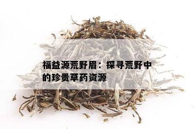 福益源荒野眉：探寻荒野中的珍贵草资源