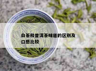 白茶和普洱茶味道的区别及口感比较