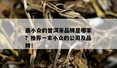 最小众的普洱茶品牌是哪家？推荐一家小众的公司及品牌！