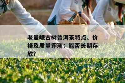 老曼峨古树普洱茶特点、价格及质量评测：能否长期存放？