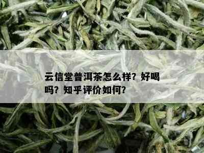 云信堂普洱茶怎么样？好喝吗？知乎评价如何？