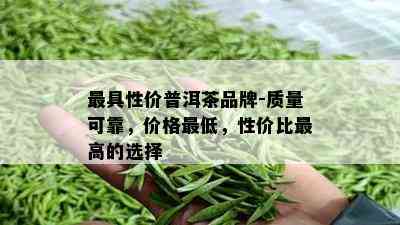 更具性价普洱茶品牌-质量可靠，价格更低，性价比更高的选择