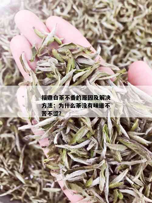 福鼎白茶不香的原因及解决方法：为什么茶没有味道不苦不涩？