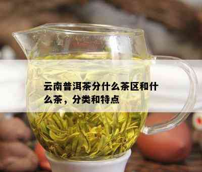 云南普洱茶分什么茶区和什么茶，分类和特点