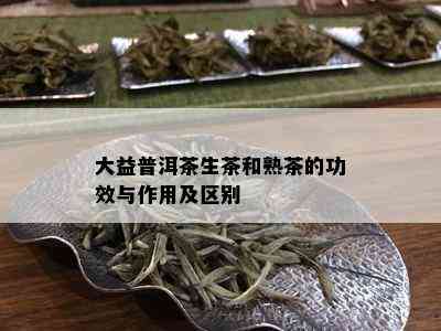 大益普洱茶生茶和熟茶的功效与作用及区别