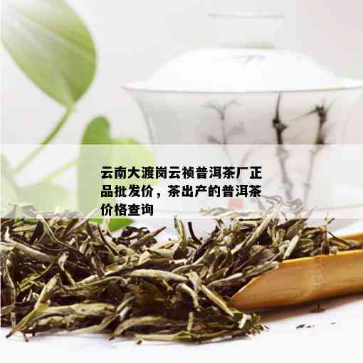 云南大渡岗云祯普洱茶厂正品批发价，茶出产的普洱茶价格查询