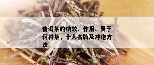 普洱茶的功效、作用、属于何种茶，十大名牌及冲泡方法