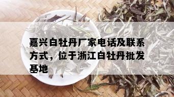 嘉兴白牡丹厂家电话及联系方式，位于浙江白牡丹批发基地