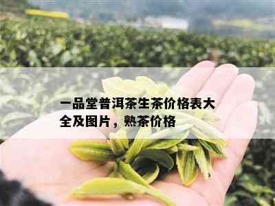 一品堂普洱茶生茶价格表大全及图片，熟茶价格