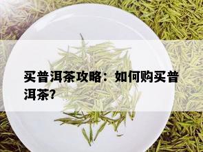 买普洱茶攻略：如何购买普洱茶？