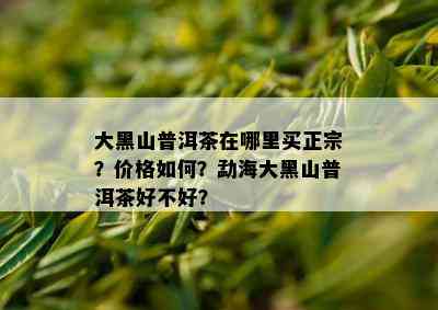 大黑山普洱茶在哪里买正宗？价格如何？勐海大黑山普洱茶好不好？