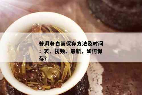 普洱老白茶保存方法及时间：表、视频、最新，如何保存？