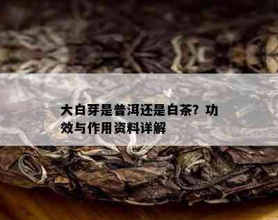 大白芽是普洱还是白茶？功效与作用资料详解