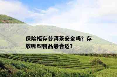 保险柜存普洱茶安全吗？存放哪些物品最合适？