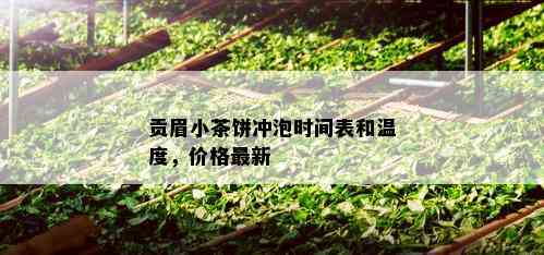 贡眉小茶饼冲泡时间表和温度，价格最新