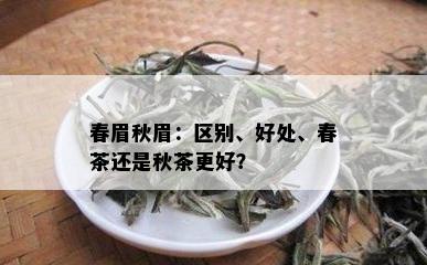 春眉秋眉：区别、好处、春茶还是秋茶更好？