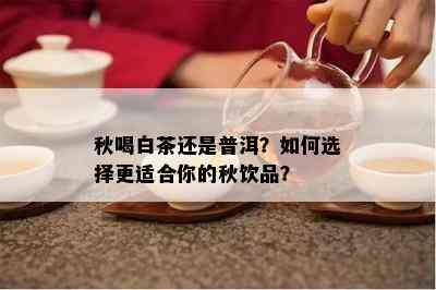 秋喝白茶还是普洱？如何选择更适合你的秋饮品？