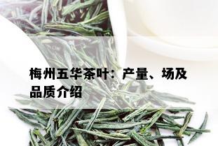 梅州五华茶叶：产量、场及品质介绍