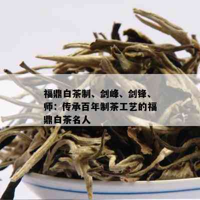 福鼎白茶制、剑峰、剑锋、师：传承百年制茶工艺的福鼎白茶名人