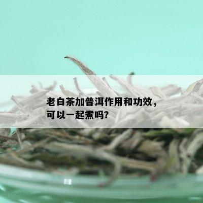 老白茶加普洱作用和功效，可以一起煮吗？