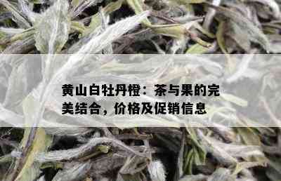 黄山白牡丹橙：茶与果的完美结合，价格及促销信息