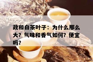 政和白茶叶子：为什么那么大？气味和香气如何？便宜吗？