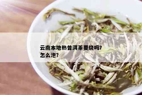 云南本地熟普洱茶要烧吗？怎么泡？