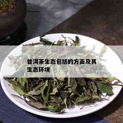 普洱茶生态包括的方面及其生态环境