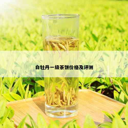 白牡丹一级茶饼价格及评测