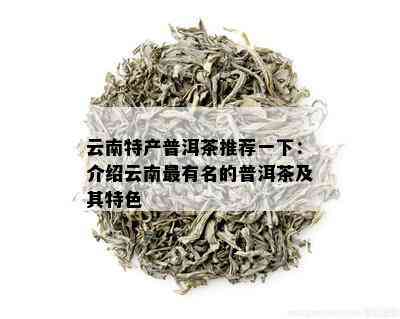 云南特产普洱茶推荐一下：介绍云南最有名的普洱茶及其特色