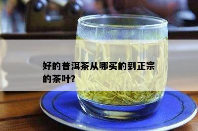 好的普洱茶从哪买的到正宗的茶叶？