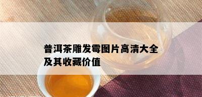 普洱茶雕发霉图片高清大全及其收藏价值