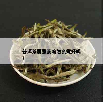 普洱茶要煮茶嘛怎么煮好喝？