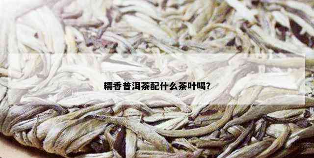 糯香普洱茶配什么茶叶喝？