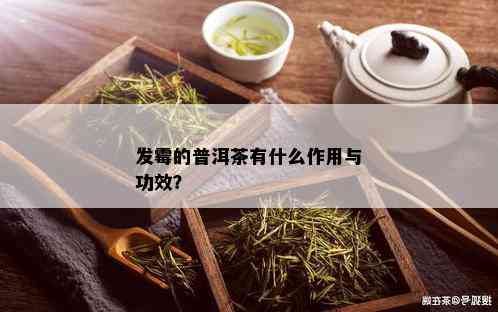 发霉的普洱茶有什么作用与功效？