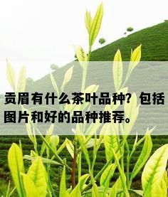 贡眉有什么茶叶品种？包括图片和好的品种推荐。