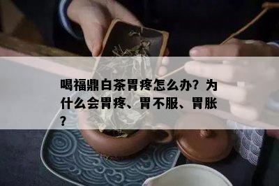 喝福鼎白茶胃疼怎么办？为什么会胃疼、胃不服、胃胀？