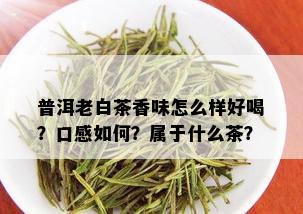 普洱老白茶香味怎么样好喝？口感如何？属于什么茶？