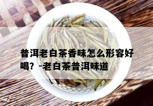 普洱老白茶香味怎么形容好喝？-老白茶普洱味道