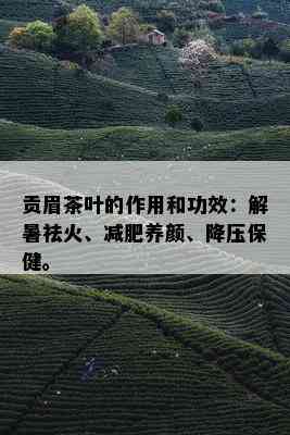 贡眉茶叶的作用和功效：解暑祛火、减肥养颜、降压保健。