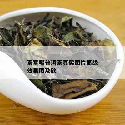 茶室喝普洱茶真实图片高级效果图及欣