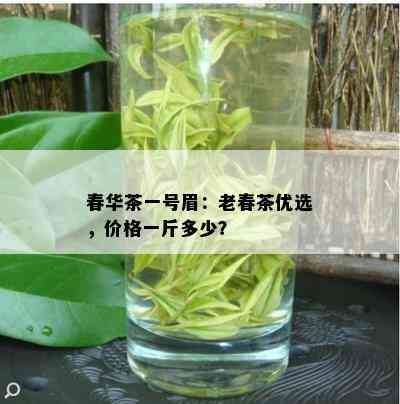 春华茶一号眉：老春茶优选，价格一斤多少？