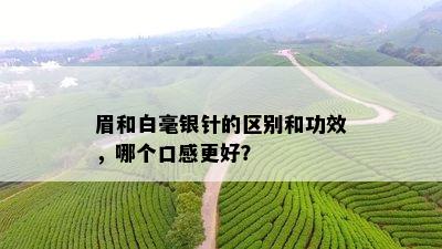 眉和白毫银针的区别和功效，哪个口感更好？