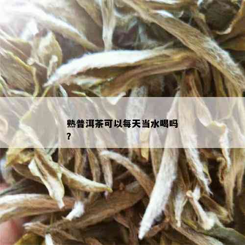 熟普洱茶可以每天当水喝吗？