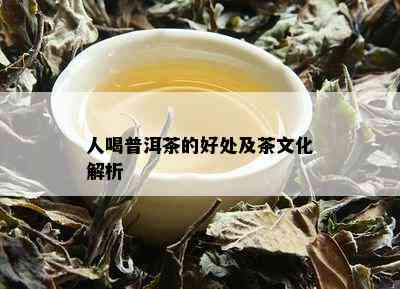 人喝普洱茶的好处及茶文化解析