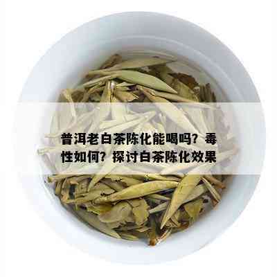 普洱老白茶陈化能喝吗？性如何？探讨白茶陈化效果