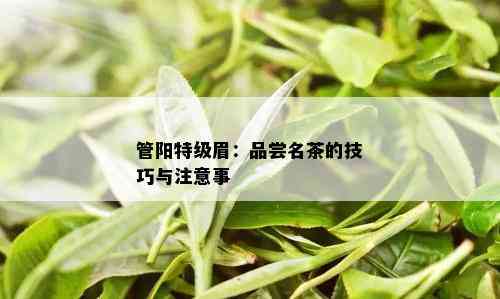 管阳特级眉：品尝名茶的技巧与注意事