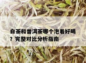 白茶和普洱茶哪个泡着好喝？完整对比分析指南